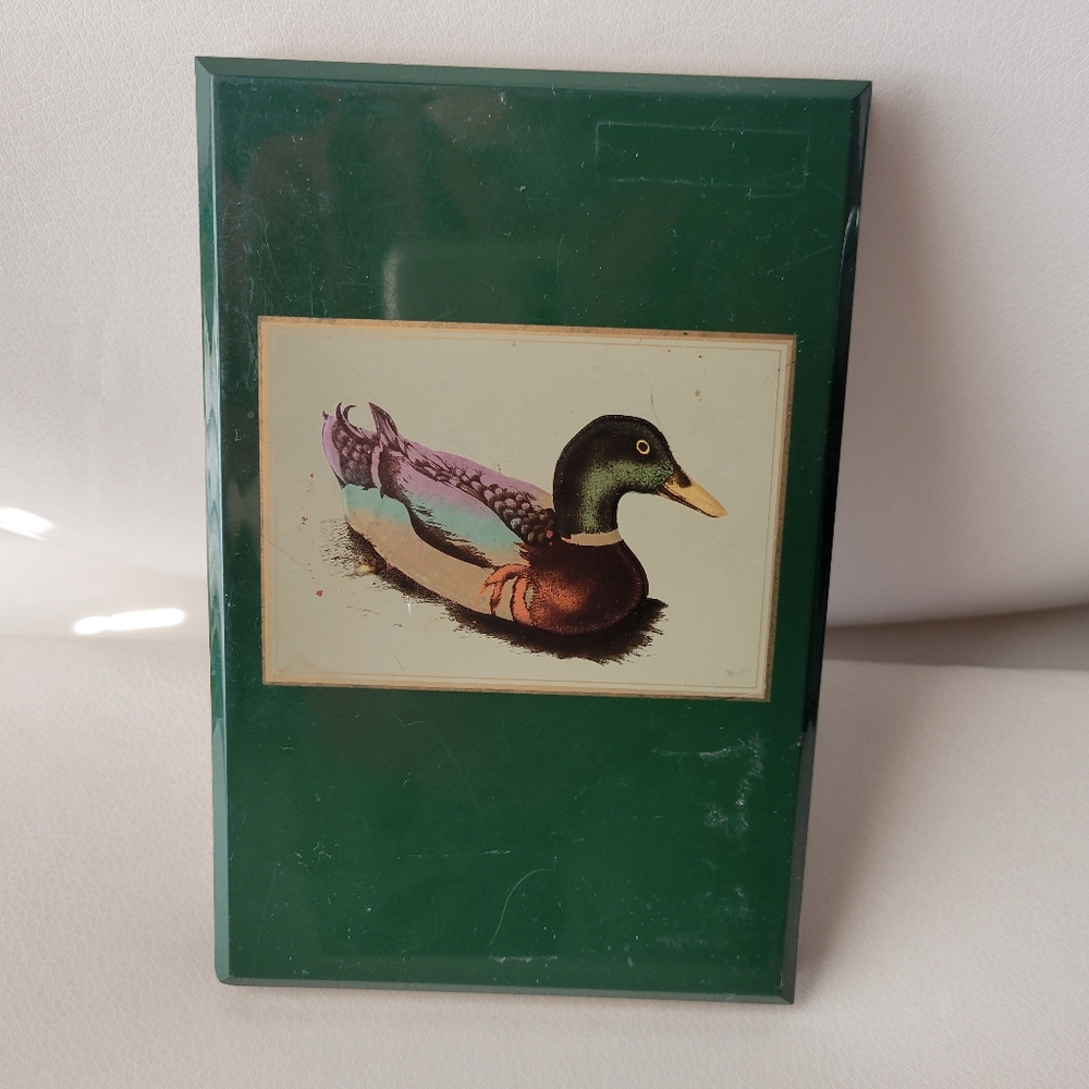 Otagiri Address Book ~ Hardcover Duck Image ~ Ready for Upcycle! FINAL PRICE
